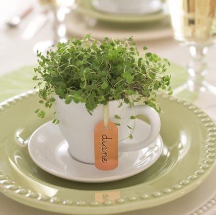 Spring Placesetting