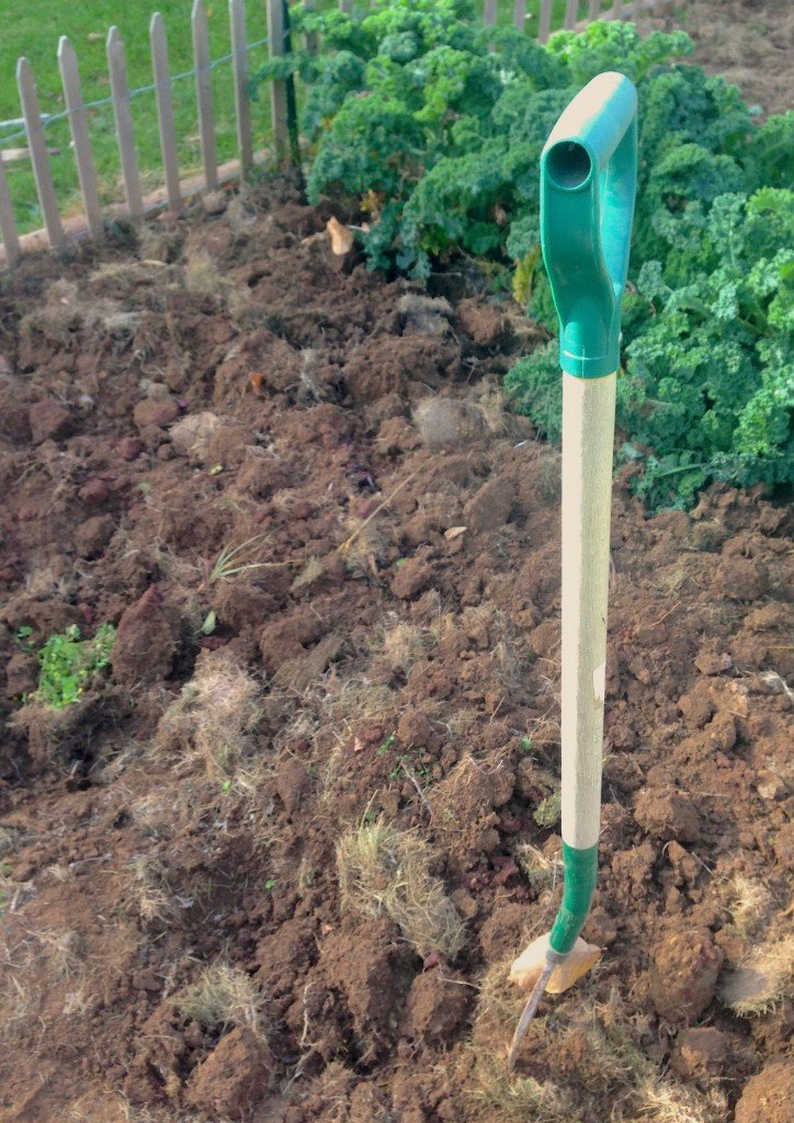 Aerate soil