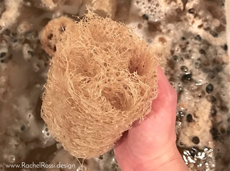 How to Grow Luffa & Make your own Sponges Rachel Rossi