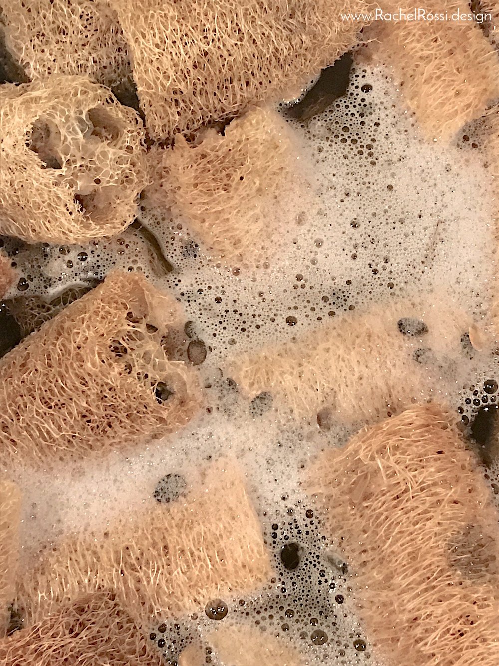 Luffa Design How to Grow Luffa & Make your own Sponges | Rachel Rossi